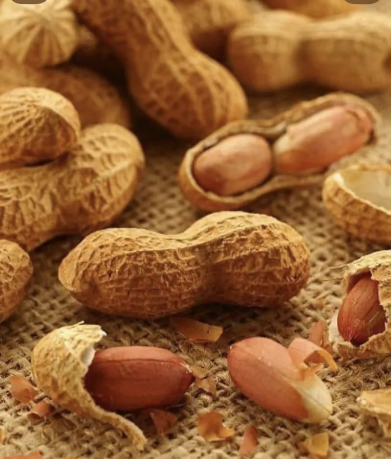 فستق عبيد بقشره
