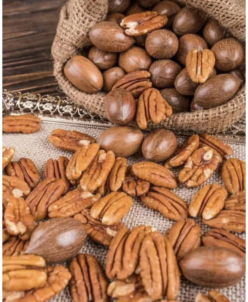 جوز البيكان